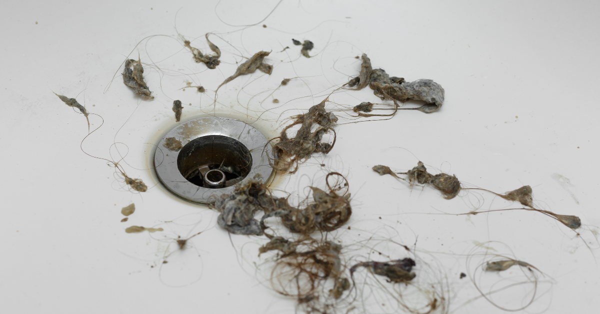 Drains Cleaned: Why Regular Drain Cleaning Saves You Time, Money, and Stress