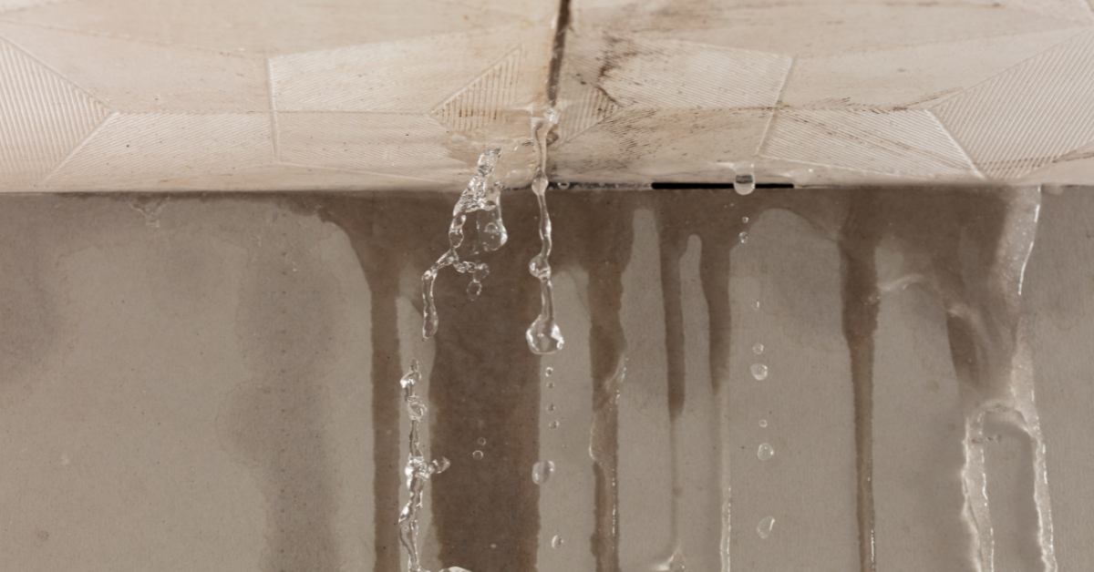 how to find water leaks